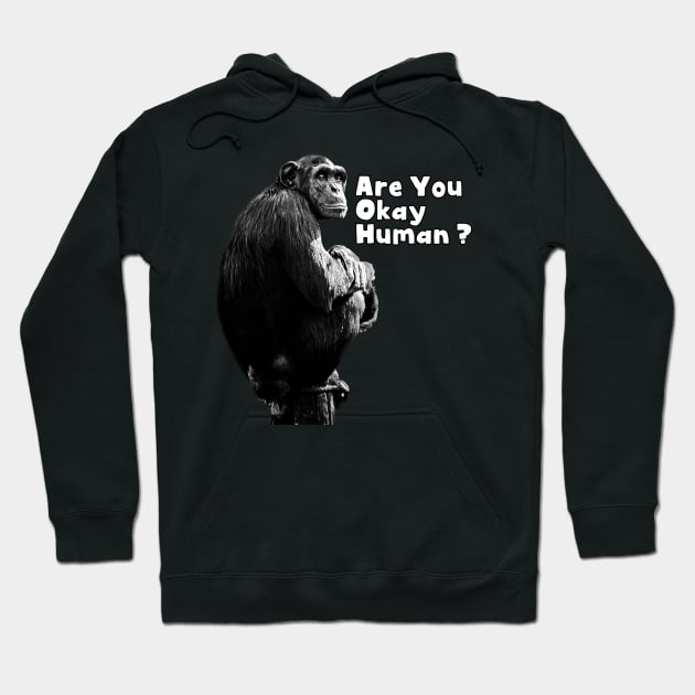 Monkey : Are You okay human Hoodie by Egit